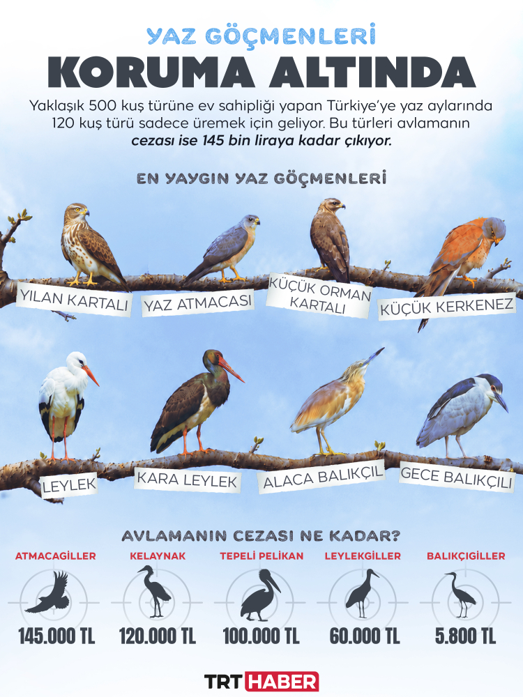 Yaz misafirleri geldi: Avlamak ciddi suç!